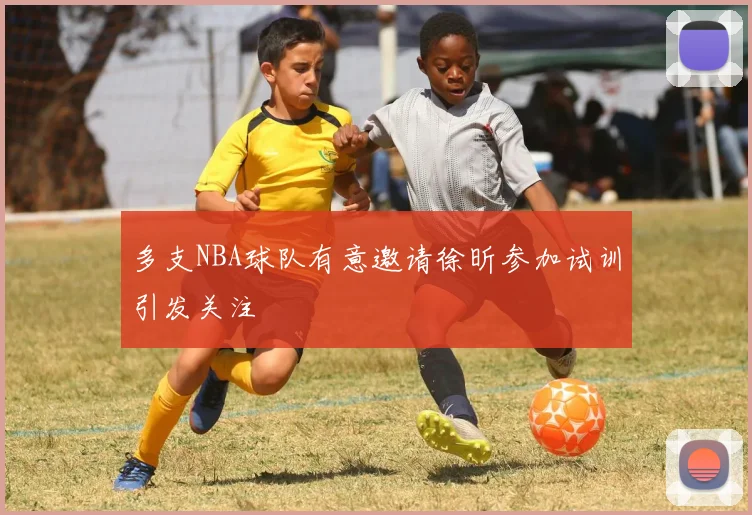 多支NBA球队有意邀请徐昕参加试训引发关注