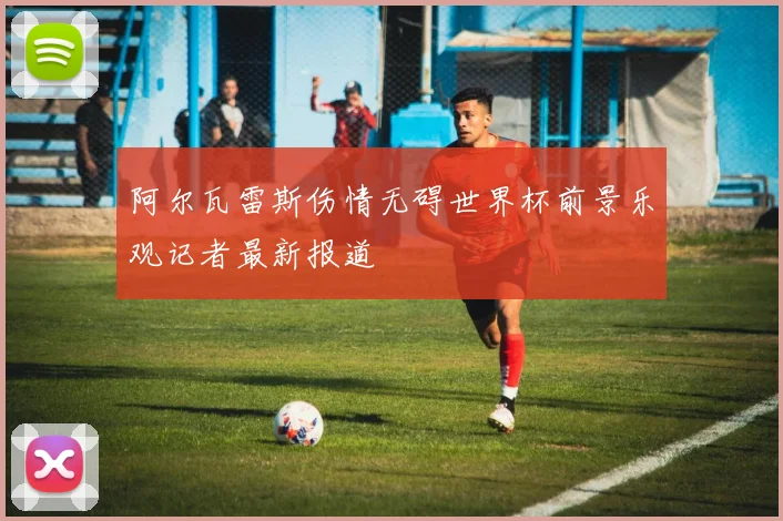 阿尔瓦雷斯伤情无碍世界杯前景乐观记者最新报道