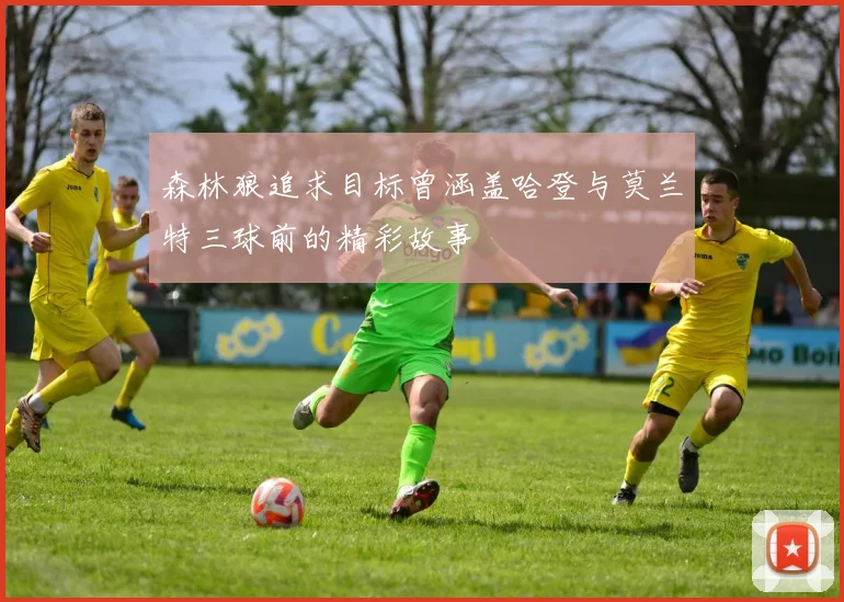 森林狼追求目标曾涵盖哈登与莫兰特三球前的精彩故事